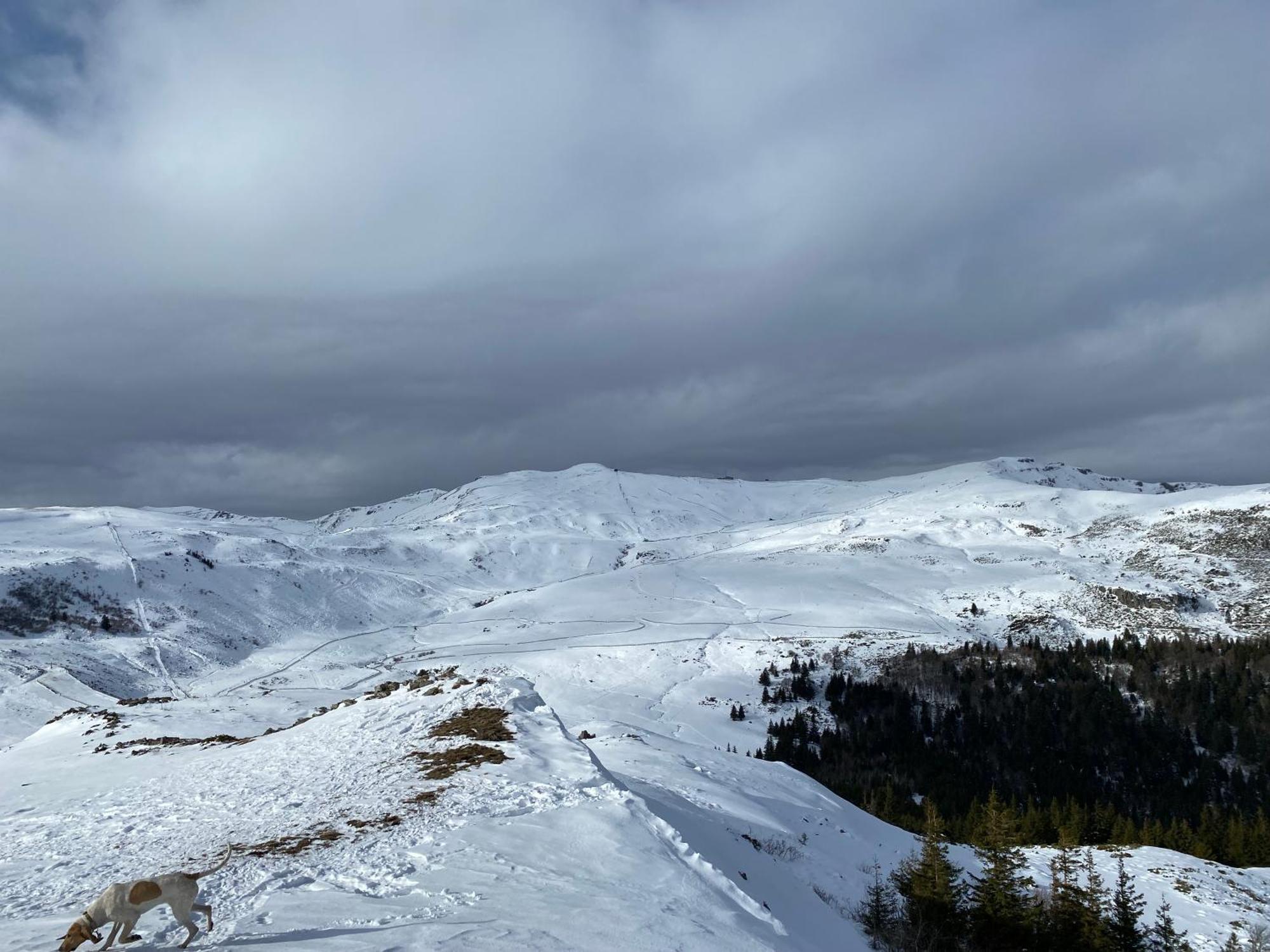 Charmant Appartement Au Coeur Des Volcans D Auvergne Murat  Extérieur photo